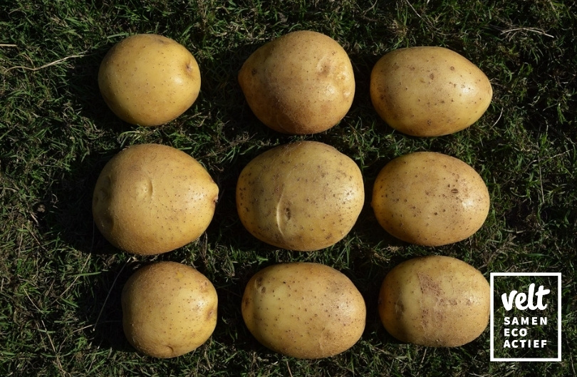 Aardappel Connect - 2,5 kg