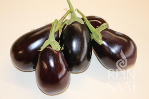 Aubergine - Nero