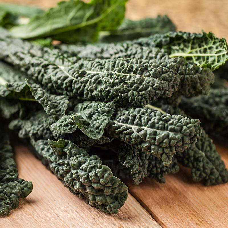 Palmkool Nero di toscana