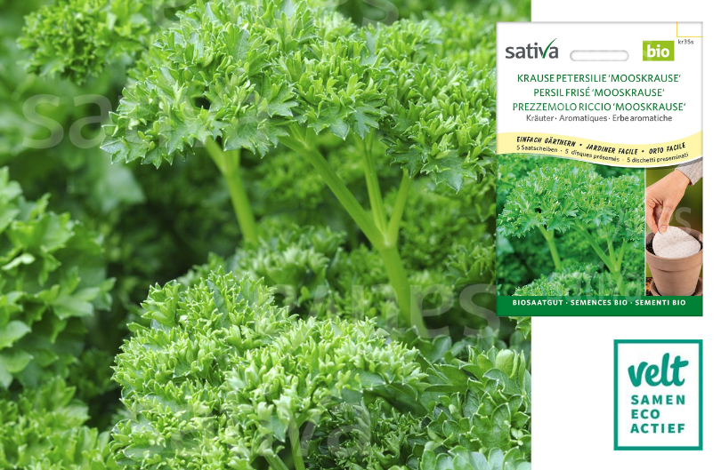 Moskrul - zaadschijf - Sativa