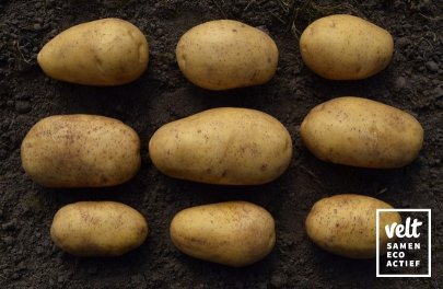 Aardappel Vitabella - 1 kg