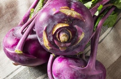 Koolrabi - Delikatess Blauwe