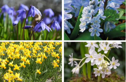 Bijenbuffet 'Koel hoekje' 