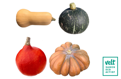 pompoen mix