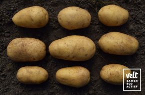 Aardappel Vitabella - 1 kg