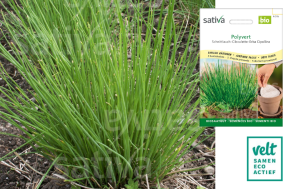 Bieslook Polyvit - Sativa