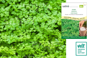 Kervel zaadband - Sativa