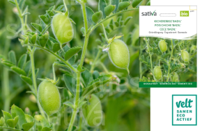 Kikkererwt Badil - Sativa