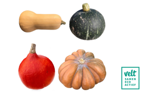 pompoen mix