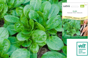 Veldsla Elan Zaadband Sativa